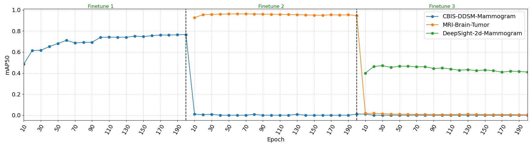 benchmark_CBIS_MRI_DS_no_freeze0